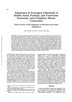 Adaptation to Prolonged