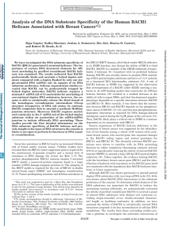 Analysis of the DNA Substrate Specificity of the Human BACH1