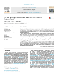 Tracheid anatomical responses to climate in a forest