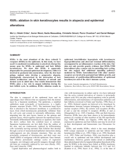 Function of RXR(alpha) in the epidermis