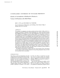 CYTOPLASMIC SYNTHESIS OF NUCLEAR PROTEINS Kinetics of