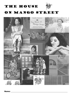The House on Mango Street