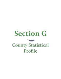 County Statistical Profile
