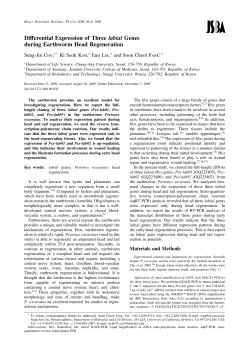 Differential Expression of Three labial Genes during Earthworm