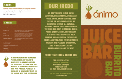 OUR CREDO - Animo Juice
