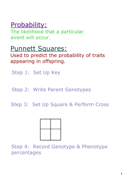 Probability: Punnett Squares: