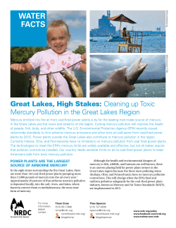 NRDC: Great Lakes, High Stakes - Cleaning up Toxic Mercury