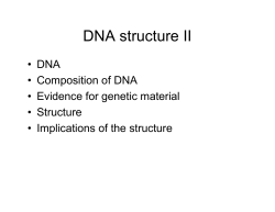 DNA structure II