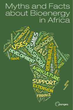 Myths and Facts about Bioenergy in Africa
