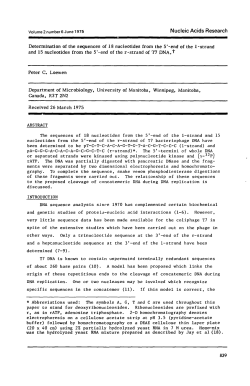 Determination of the sequences of 18 nucleotides from the 5`