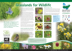 Grasslands for Wildlife - Broxtowe Borough Council