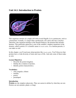 Unit 14.1: Introduction to Protists