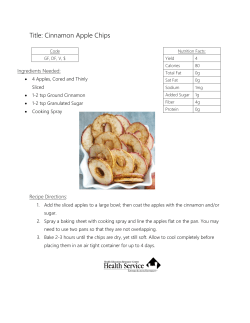 Title: Cinnamon Apple Chips