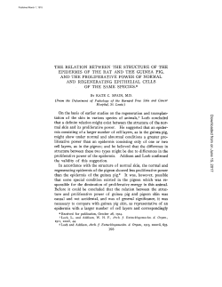 THE RELATION BETWEENTHE STRUCTURE OF THE EPIDERMIS