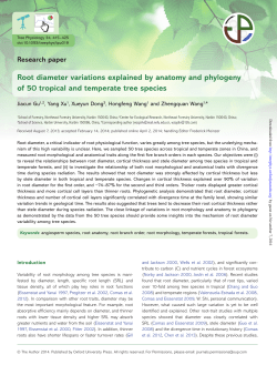 Root diameter variations explained by anatomy and phylogeny of 50