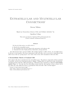 Extracellular and Multicellular Connections