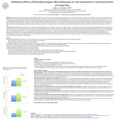 Inhibitory effects of Bromelia pinguin (Bromeliaceae) on soil