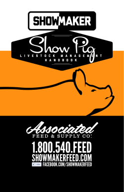 ShowMaker Swine Management Handbook