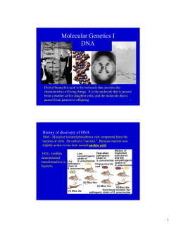 Molecular Genetics I DNA