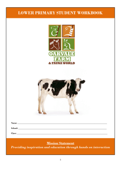 Lower PrimaryStudent Workbook