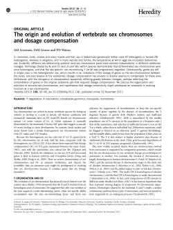 The origin and evolution of vertebrate sex chromosomes