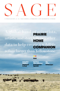 A global band of scientists, artists, and storytellers gather data to