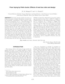 Floor laying by Pekin ducks: Effects of nest box