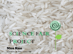 Nice Rice - davis.k12.ut.us