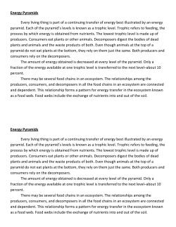 Energy Pyramids Every living thing is part of a continuing transfer of