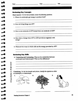 Chapter 8 Study Guide/Notes