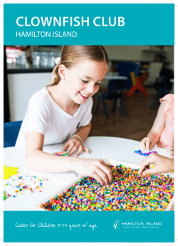 clownfish club - Hamilton Island