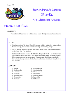 Sharks - Rackspace