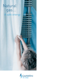 natural gas to Gaz M&eacute;tro