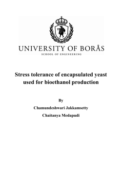 Stress tolerance of encapsulated yeast used for