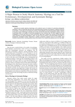A Major Reason to Study Muscle Anatomy: Myology as a Tool for