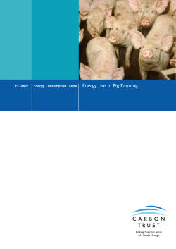 Energy Use in Pig Farming