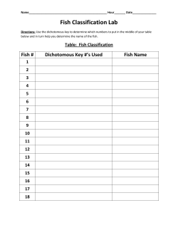 Fish Classification Lab