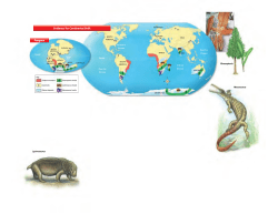 Evidence for Continental Drift Pangaea