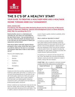 THE 5 C`S OF A HEALTHY START