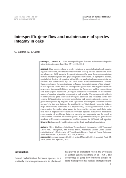 Interspecific gene flow and maintenance of species integrity in oaks