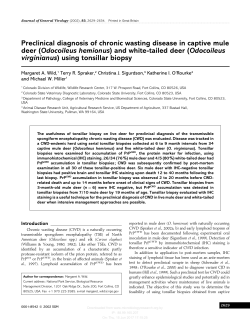 Preclinical diagnosis of chronic wasting disease in captive mule deer