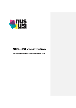 NUS-USI constitution