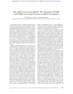 The mRNA Closed-loop Model: The Function of PABP
