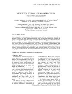 microscopic study of lime wood decayed by chaetomium globosum