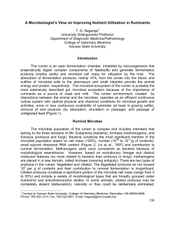 A Microbiologist`s View on Improving Nutrient Utilization in Ruminants