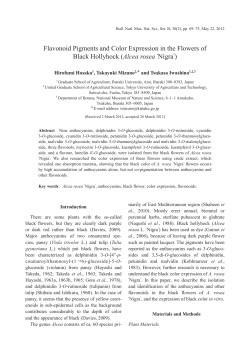 Flavonoid Pigments and Color Expression in the Flowers of Black