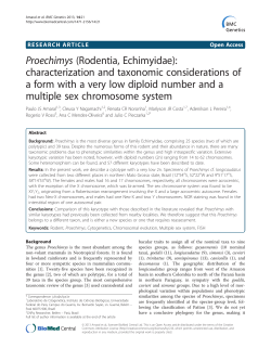 Proechimys(Rodentia, Echimyidae): characterization and taxonomic