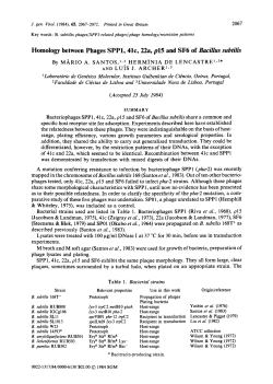 Homology between Phages SPP1, 41c, 22a, p15 and SF6 of