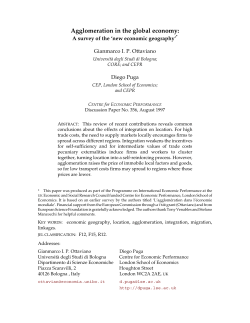 Agglomeration in a global economy: A survey of the `new economic