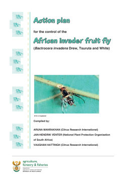 Bactrocera invadens Action Plan